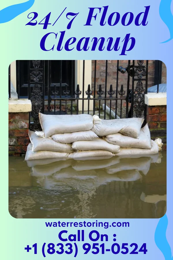 24/7 Flood Cleanup in Gobles, MI
