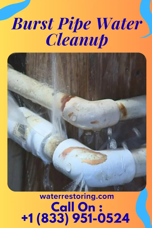 Burst Pipe Water Cleanup in Gobles, MI