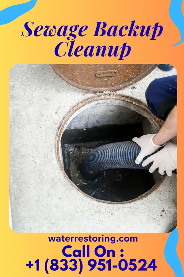 Sewage Backup Cleanup in Gobles, MI