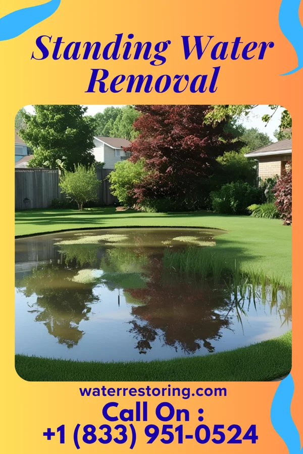 Standing Water Removal in Gobles, MI